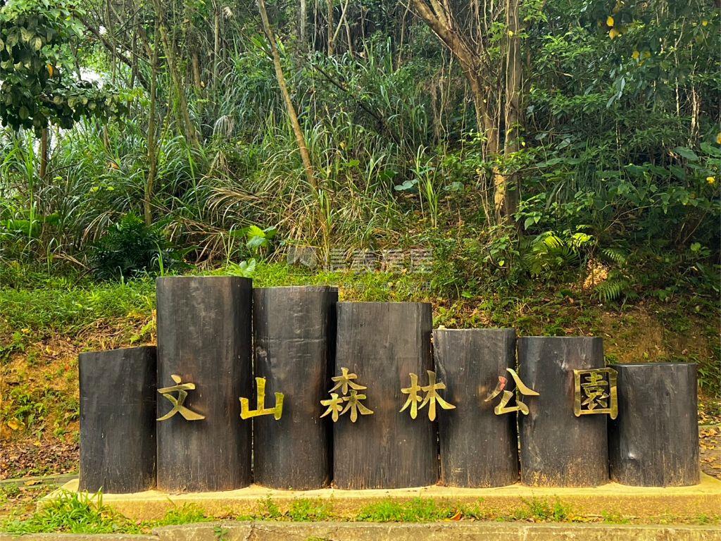 近興隆國小稀有庭院透天房屋室內格局與周邊環境