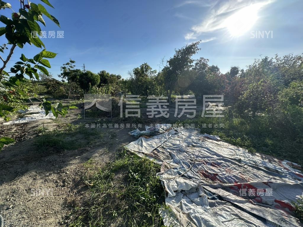 萬丹頂新段土地房屋室內格局與周邊環境