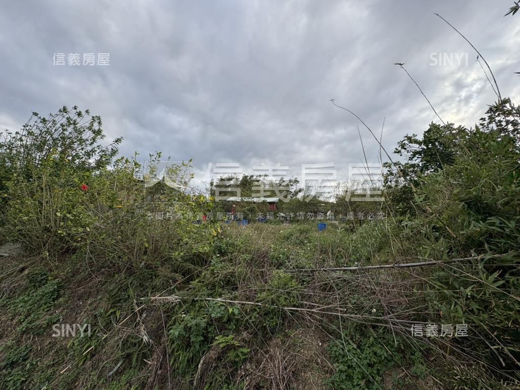 大溪仁愛黃金農地Ｃ房屋室內格局與周邊環境