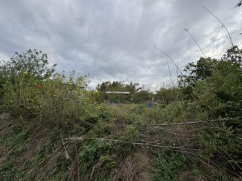 大溪仁愛黃金農地Ｃ