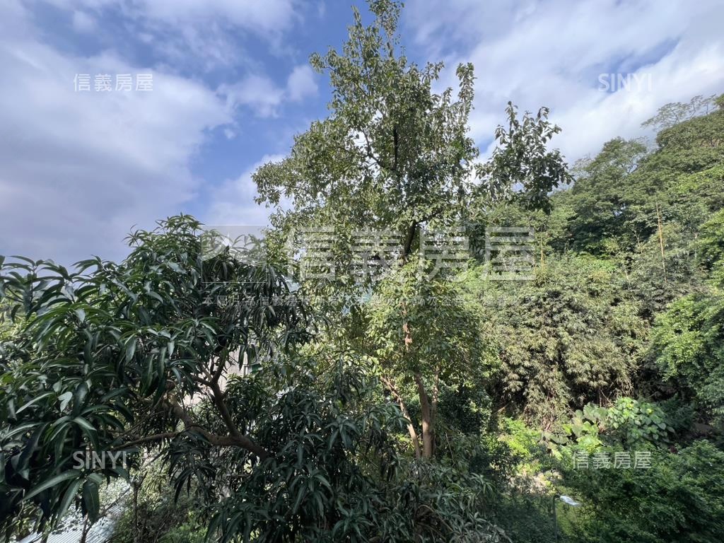 低總綠意兩房房屋室內格局與周邊環境