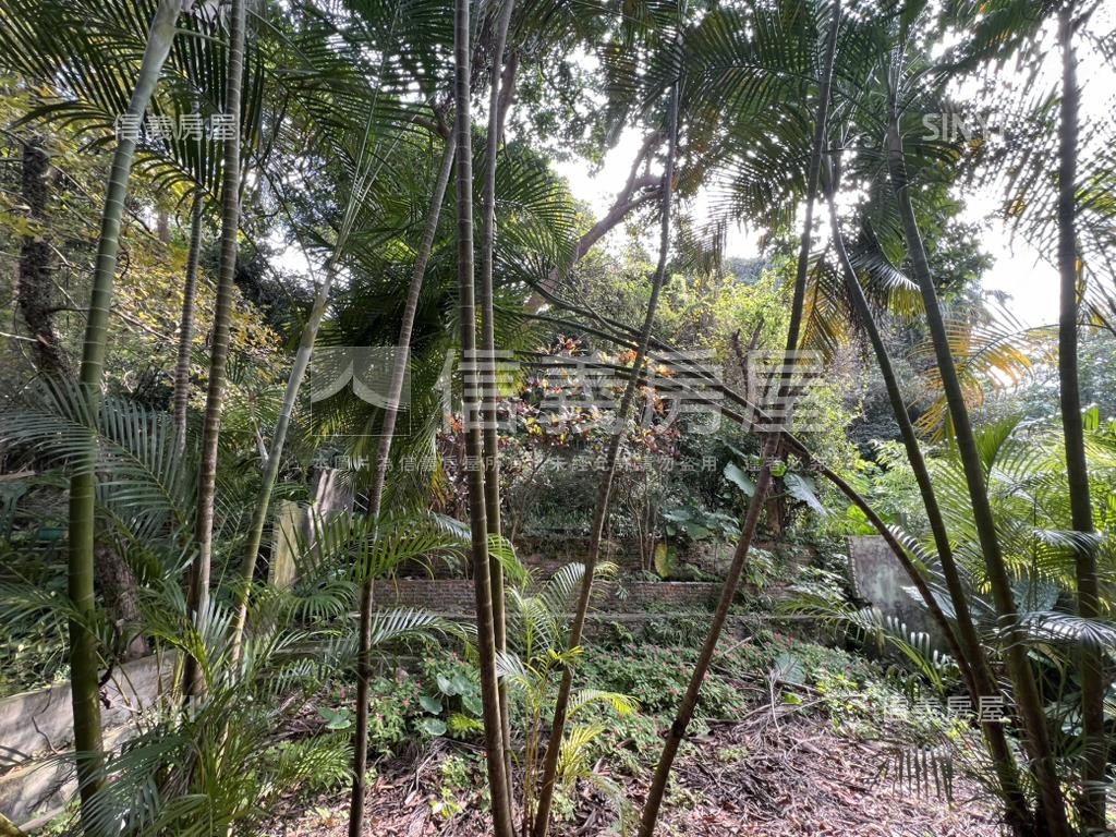 低總綠意兩房房屋室內格局與周邊環境