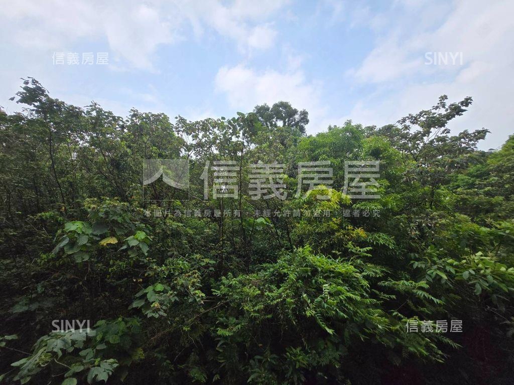 台大新新聞挑高大空間房屋室內格局與周邊環境