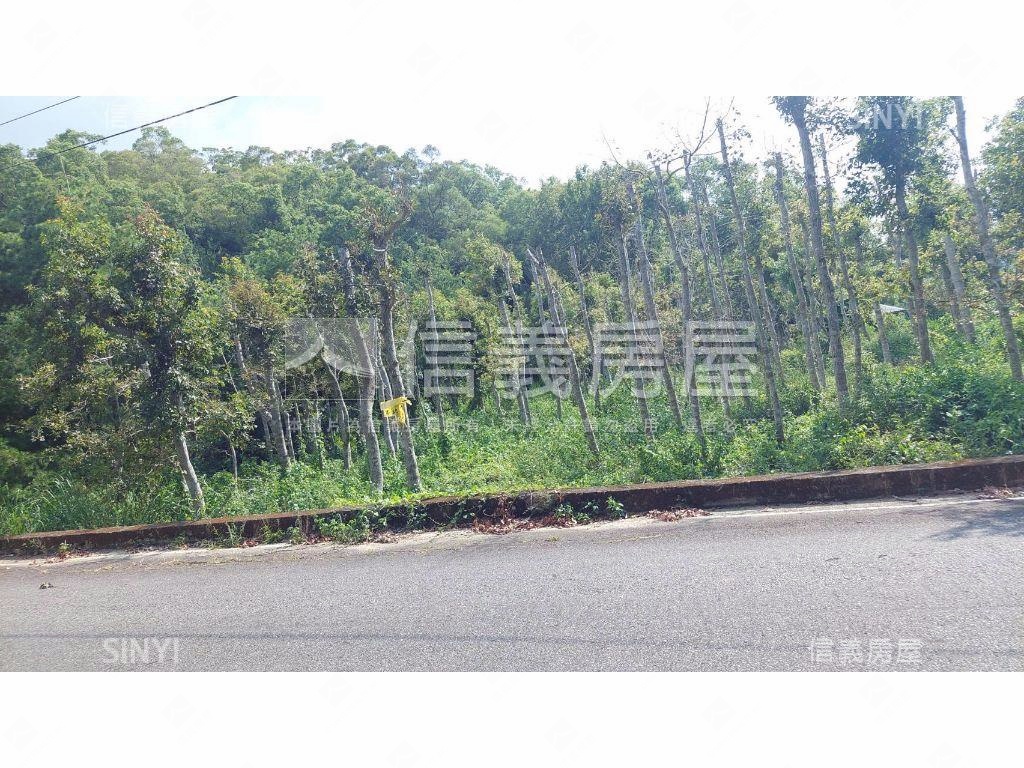 近飛牛牧場美地房屋室內格局與周邊環境