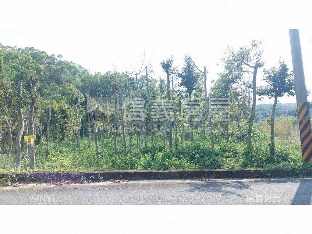 近飛牛牧場美地房屋室內格局與周邊環境