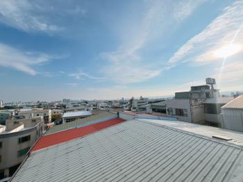 馬年旺旺大雅透套