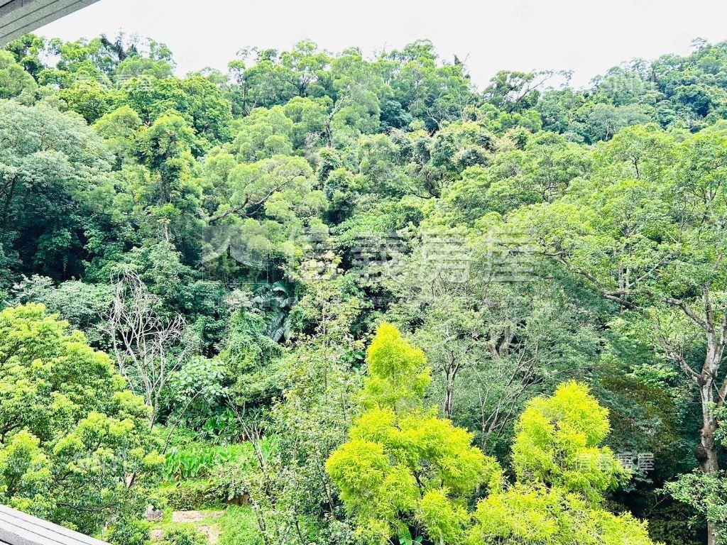 森大直Ｃ５房屋室內格局與周邊環境