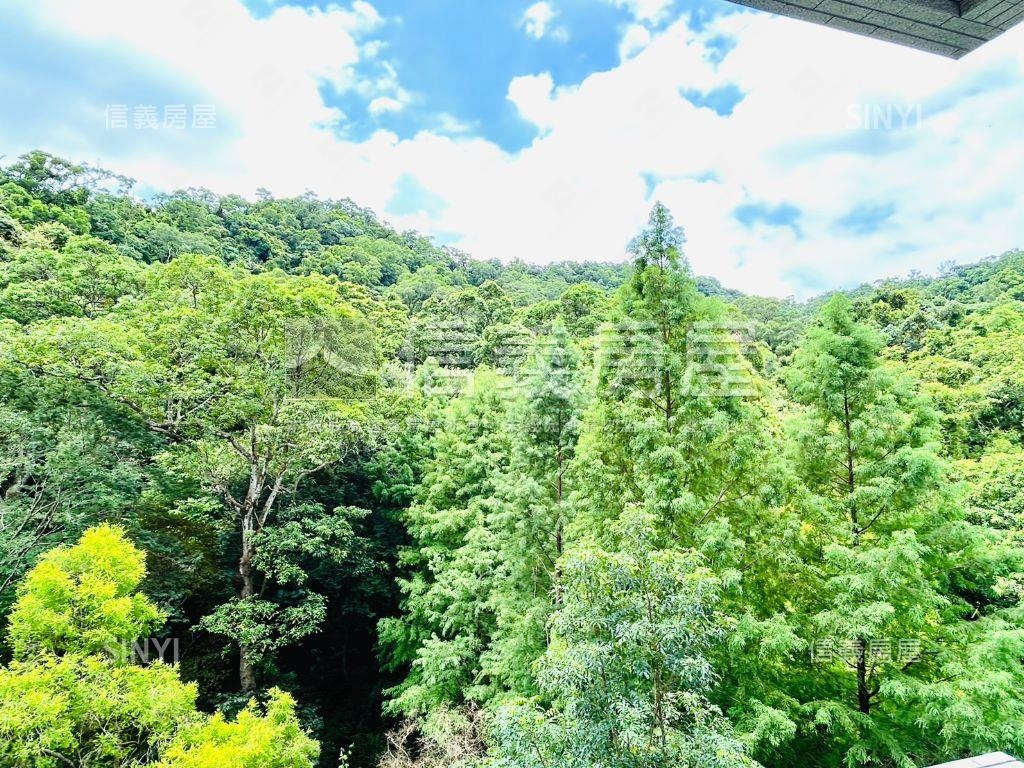 森大直Ｃ５房屋室內格局與周邊環境