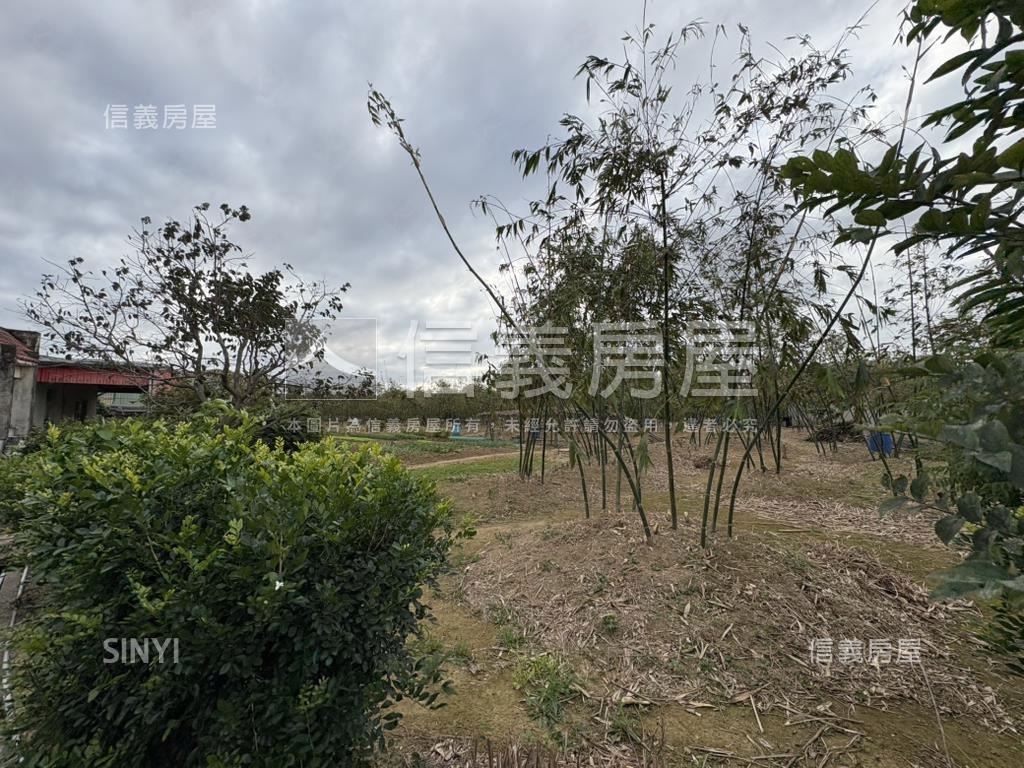地主誠售大溪仁愛農地房屋室內格局與周邊環境