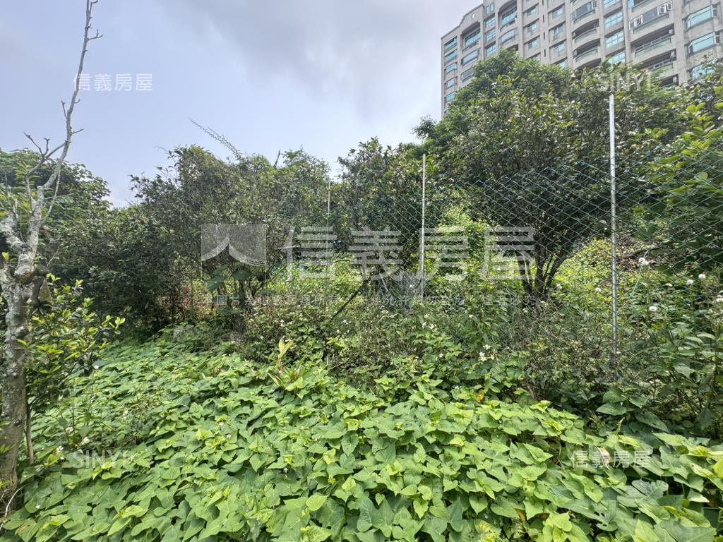 【土地】天元段農地房屋室內格局與周邊環境