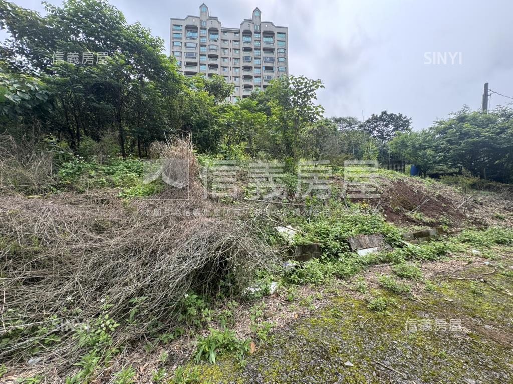 【土地】天元段農地房屋室內格局與周邊環境