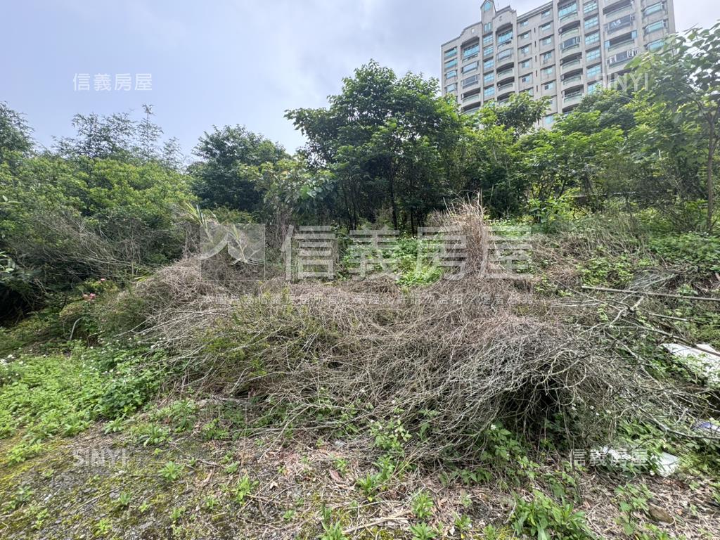 【土地】天元段農地房屋室內格局與周邊環境