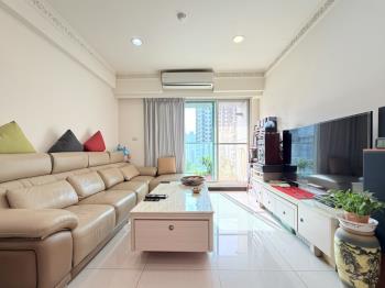 專任稀有印象法藍三房車位