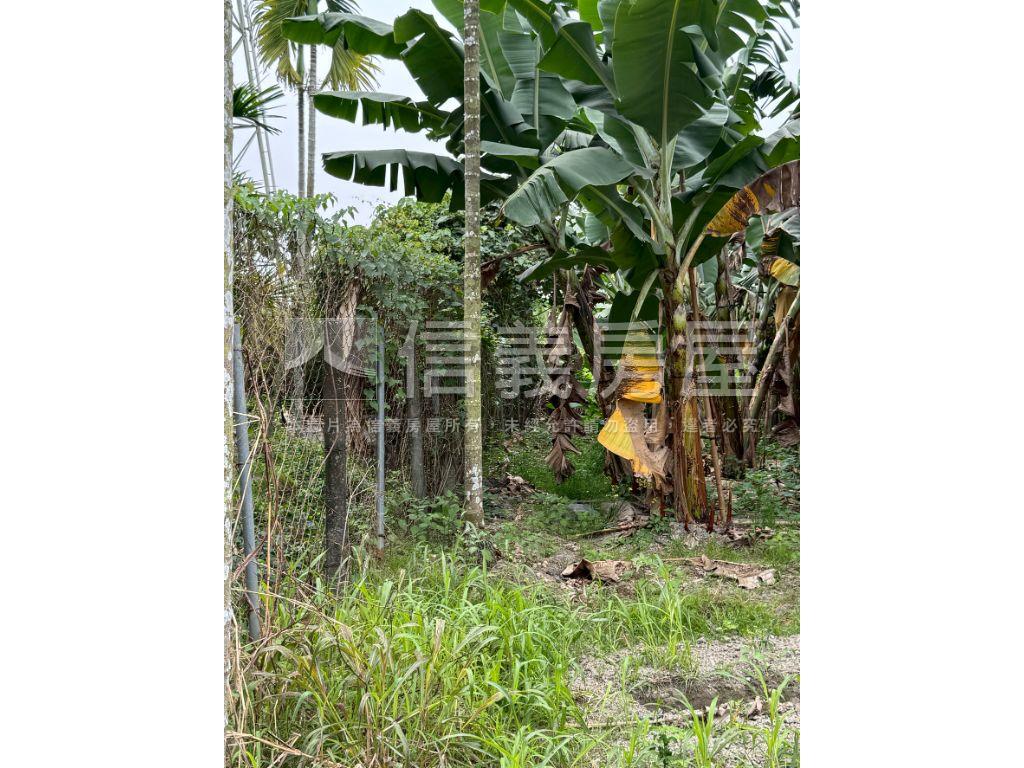 屏東優質休閒農地房屋室內格局與周邊環境