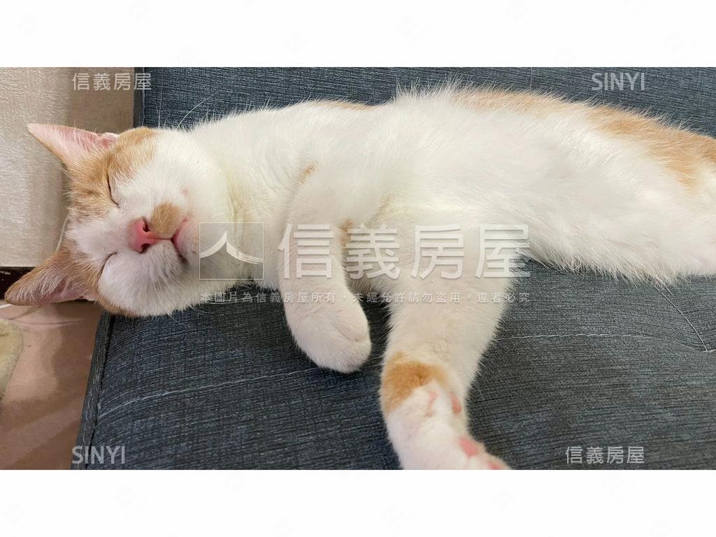 基泰之星－門牌８８８房屋室內格局與周邊環境