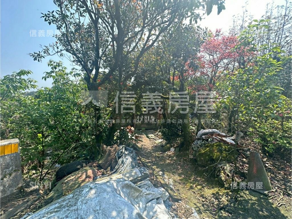 陽明山土地貳房屋室內格局與周邊環境