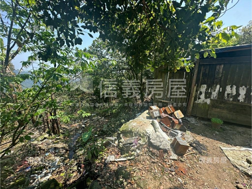 陽明山土地貳房屋室內格局與周邊環境