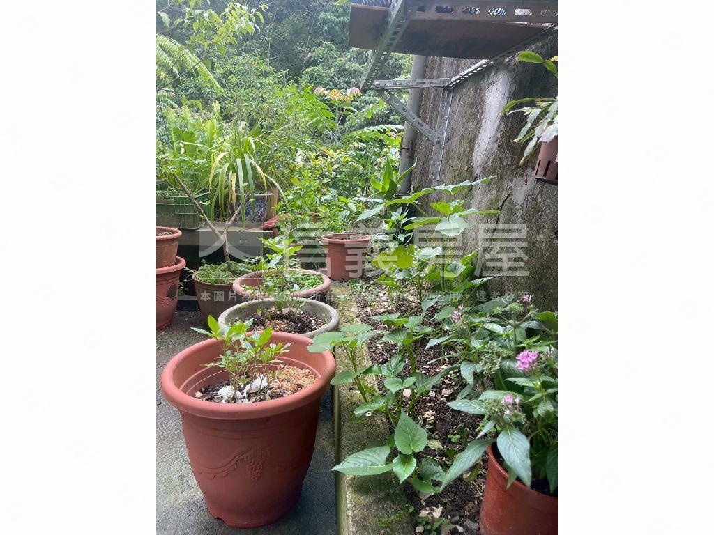 綠意邊間採光成福一樓房屋室內格局與周邊環境