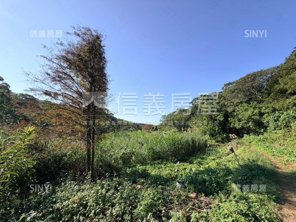 【番薯段】開心農場房屋室內格局與周邊環境