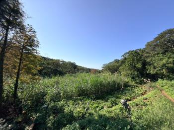 【番薯段】開心農場