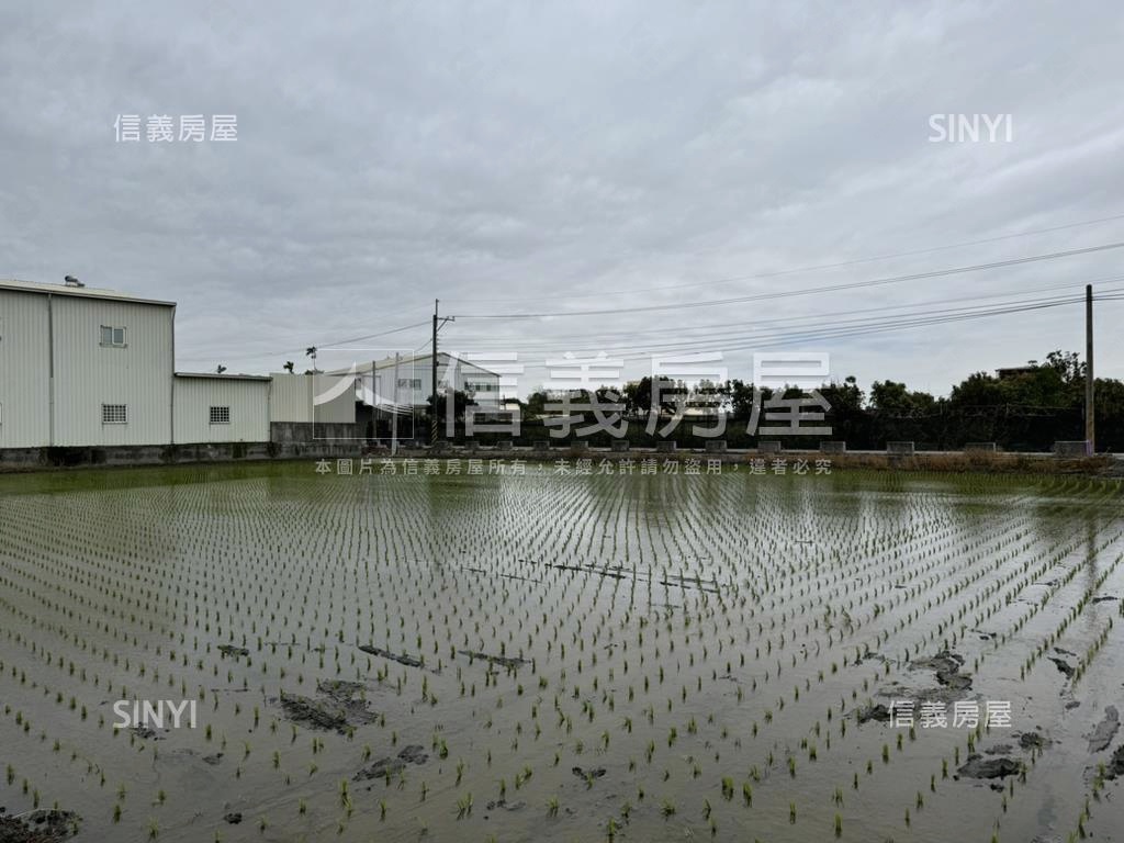 大村優質臨路臨水方正福地房屋室內格局與周邊環境