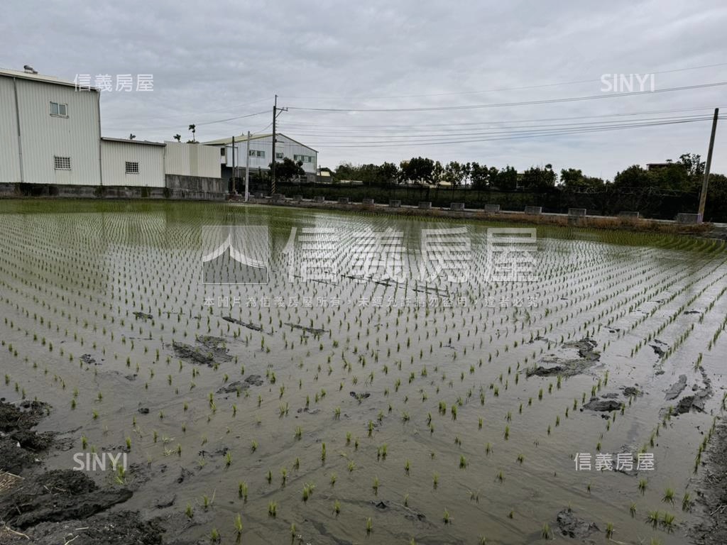 大村優質臨路臨水方正福地房屋室內格局與周邊環境