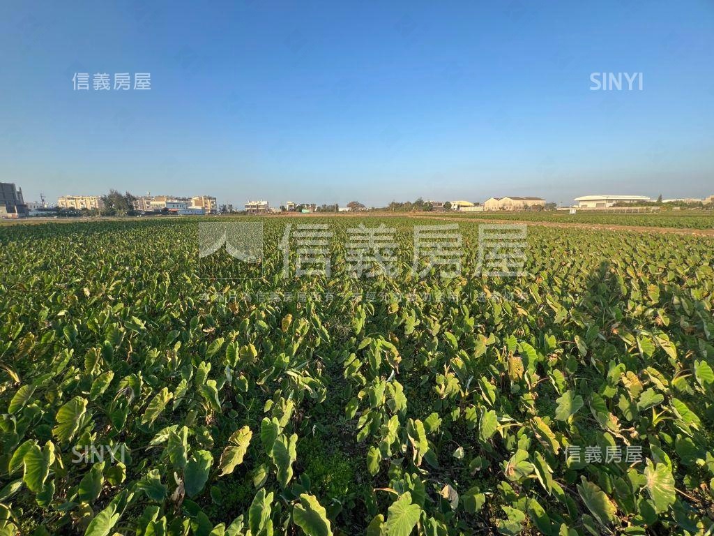 大甲種芋頭開心農地房屋室內格局與周邊環境