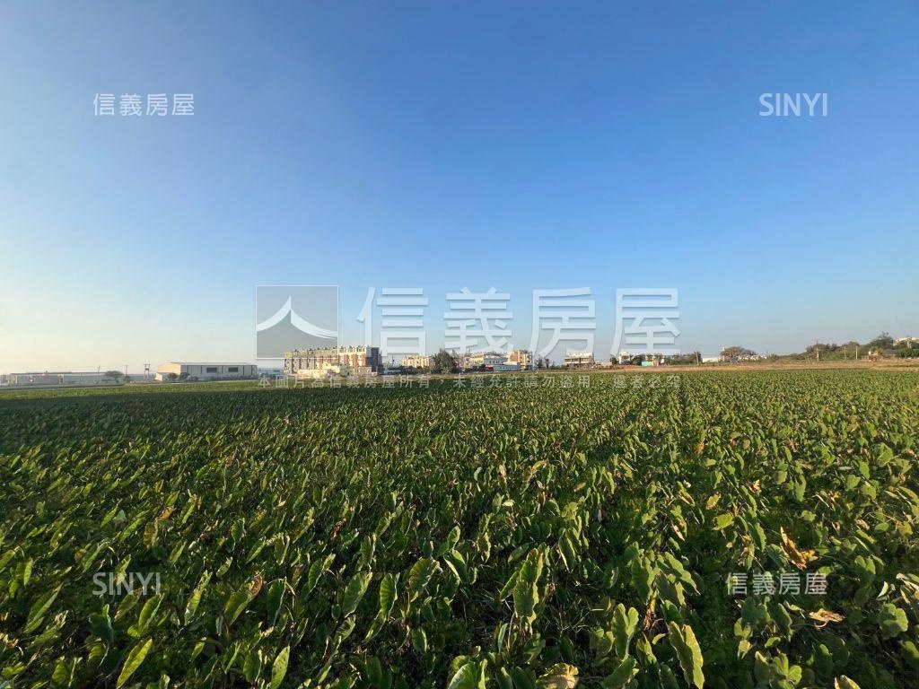 大甲種芋頭開心農地房屋室內格局與周邊環境