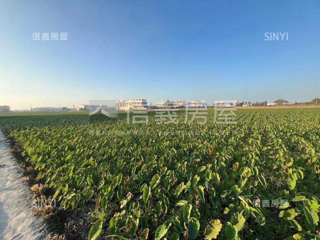 大甲種芋頭開心農地房屋室內格局與周邊環境