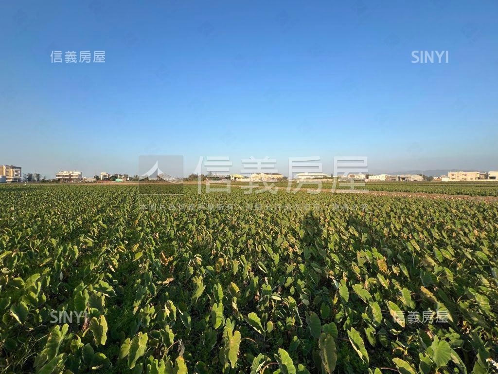 大甲種芋頭開心農地房屋室內格局與周邊環境