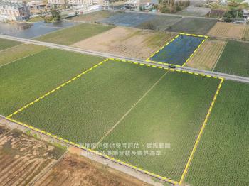 大甲種芋頭開心農地