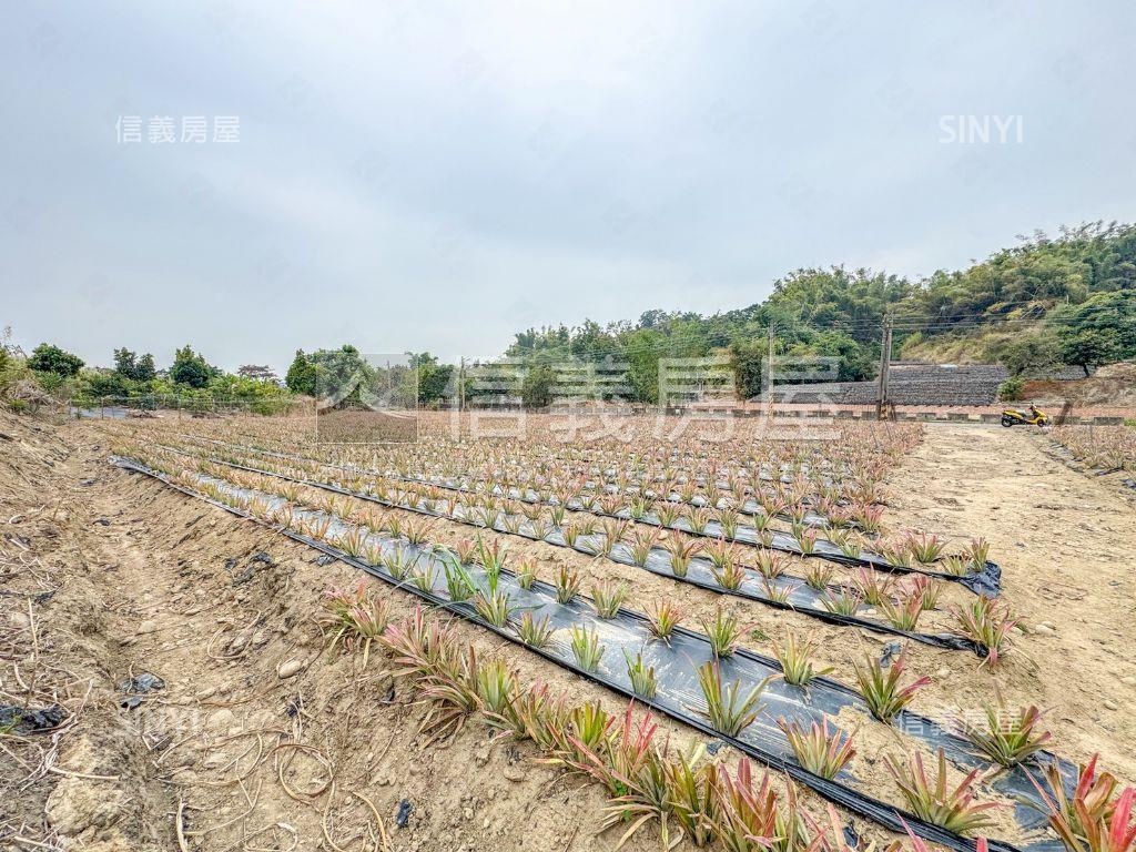 義大二路旁千坪農地房屋室內格局與周邊環境