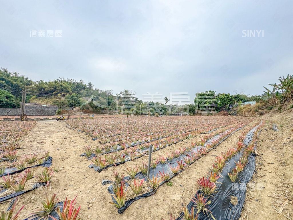 義大二路旁千坪農地房屋室內格局與周邊環境