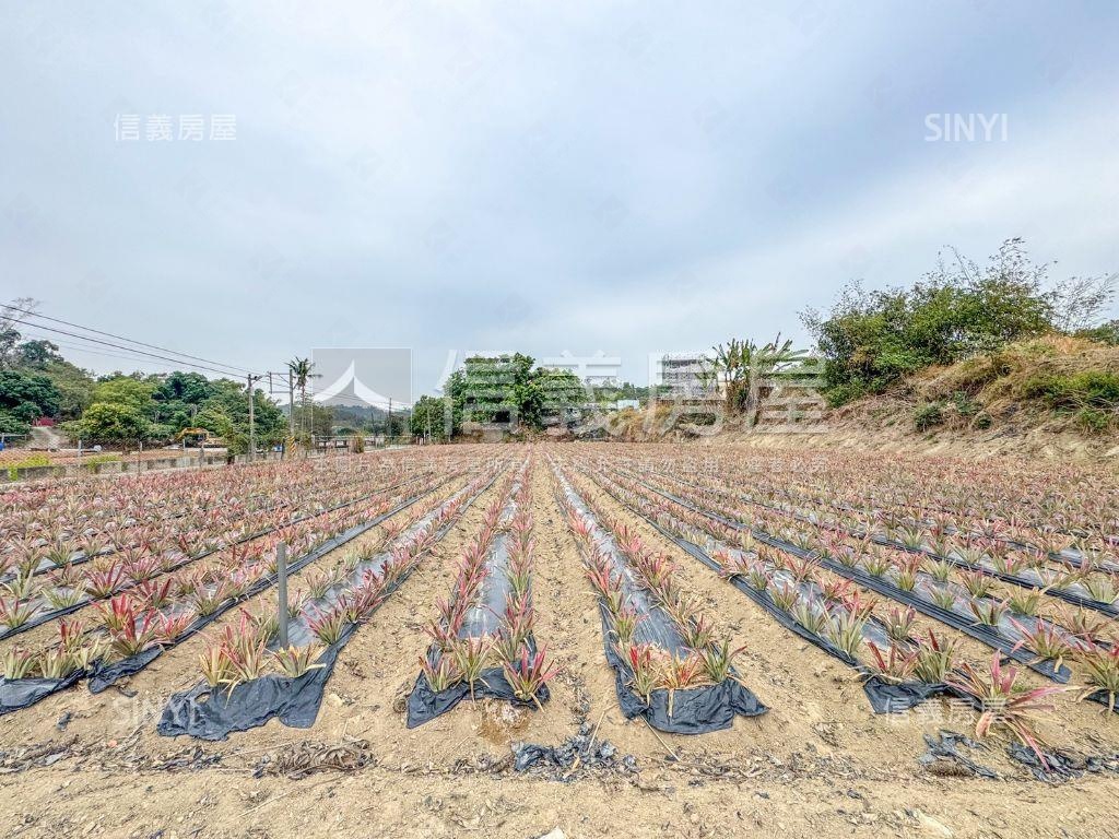 義大二路旁千坪農地房屋室內格局與周邊環境