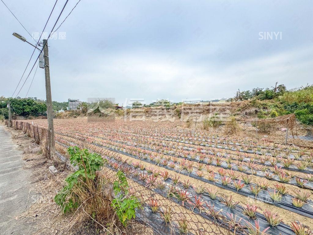 義大二路旁千坪農地房屋室內格局與周邊環境