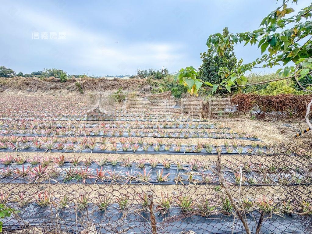 義大二路旁千坪農地房屋室內格局與周邊環境