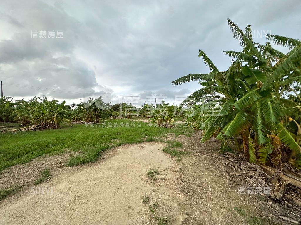 台中清水香蕉園美地房屋室內格局與周邊環境