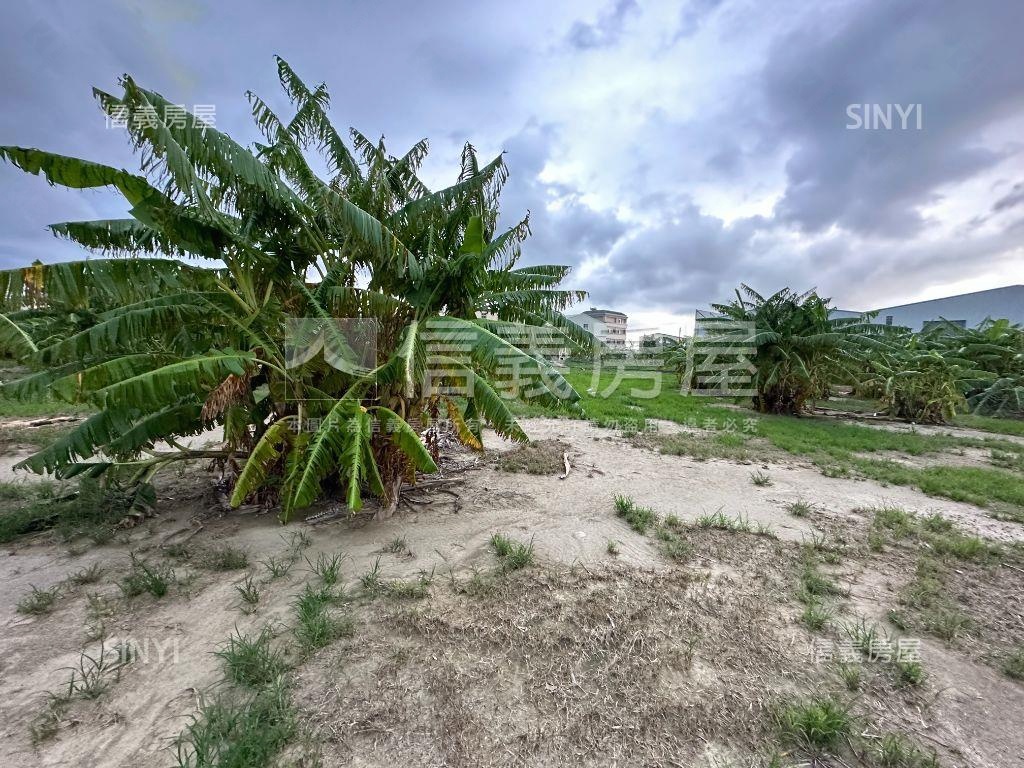 台中清水香蕉園美地房屋室內格局與周邊環境