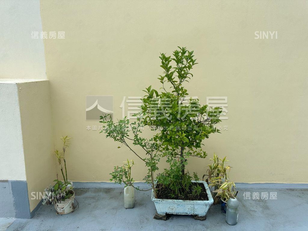 ㊝永安路｜雙面臨路樓店房屋室內格局與周邊環境