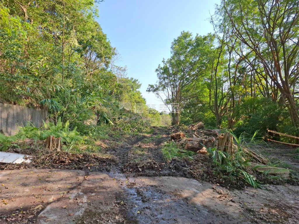 中湖段丁工土地房屋室內格局與周邊環境