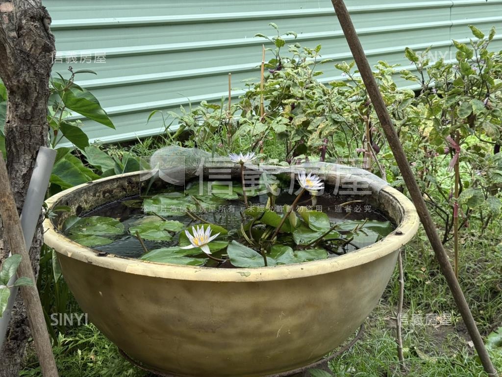 精華！東區約２０３坪土地房屋室內格局與周邊環境
