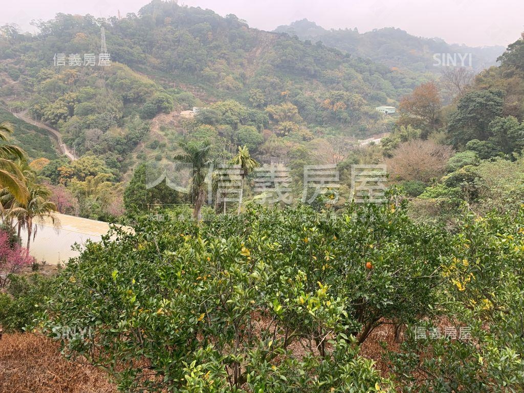 豐原橘子園土地房屋室內格局與周邊環境