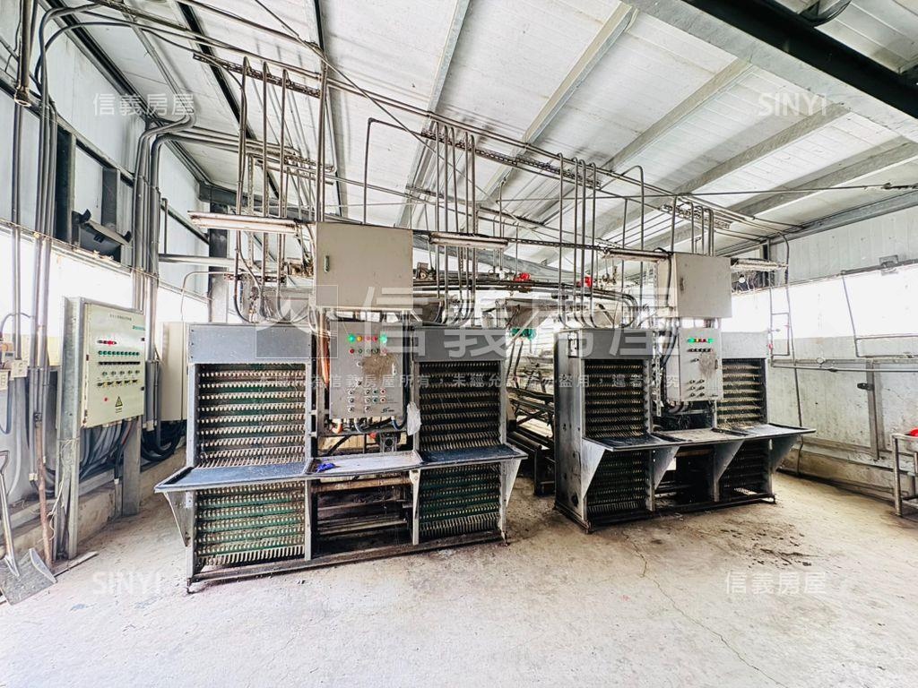 ［雞舍］路竹約四千坪農地房屋室內格局與周邊環境