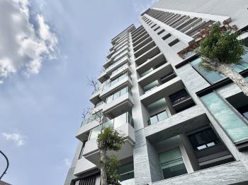 宗大｜採光高樓大兩房平車