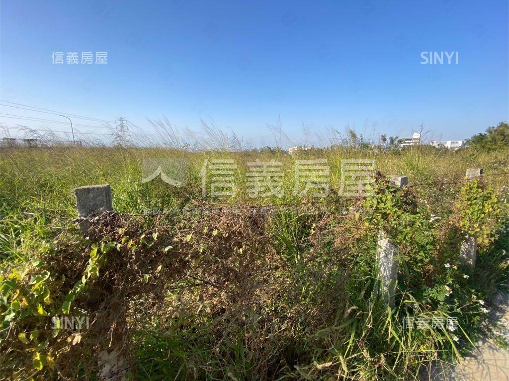 龍井龍新段土地房屋室內格局與周邊環境