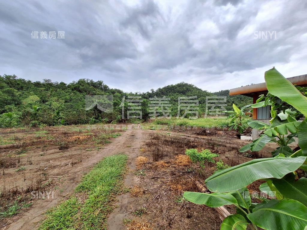 東河土地釋出房屋室內格局與周邊環境