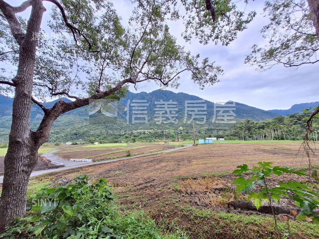 東河土地釋出房屋室內格局與周邊環境