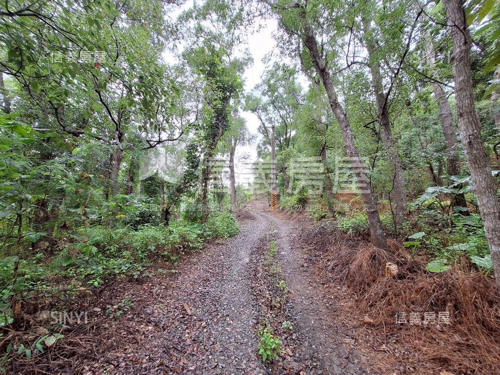 東河土地釋出房屋室內格局與周邊環境
