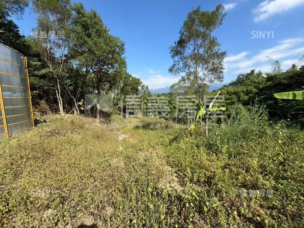 中寮臨中集路千坪農地房屋室內格局與周邊環境