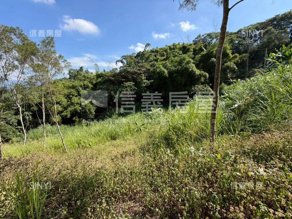 中寮臨中集路千坪農地房屋室內格局與周邊環境